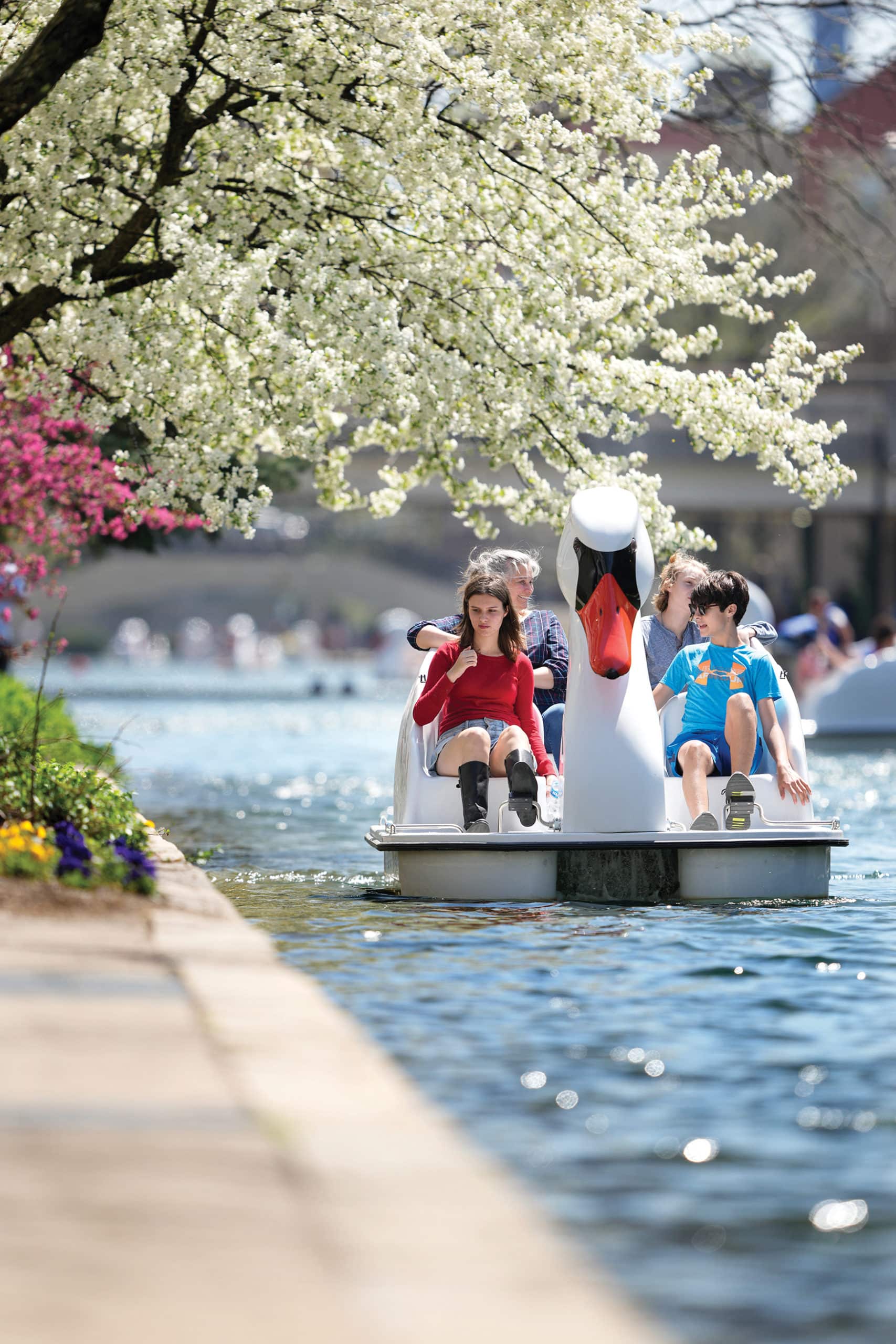 kids like these two on a swan paddleboat are the priority in the future of downtown